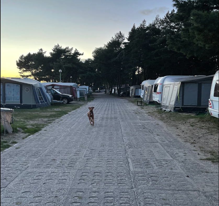 Przestronne wnętrze przyczepy Dethleffs z częścią dzienną